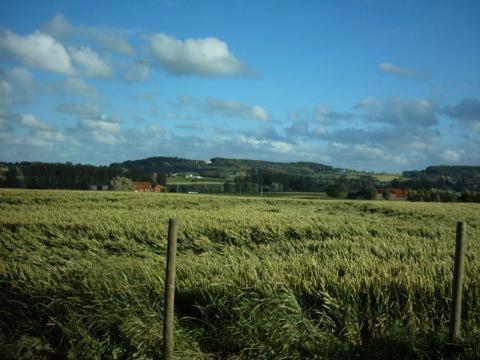 Huis Den Keibilk Heuvelland Esterno foto