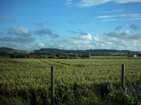 Huis Den Keibilk Heuvelland Esterno foto